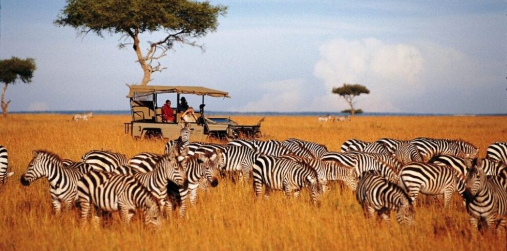 1 fAYvrSbXVjZEHyH 1lYaqQ