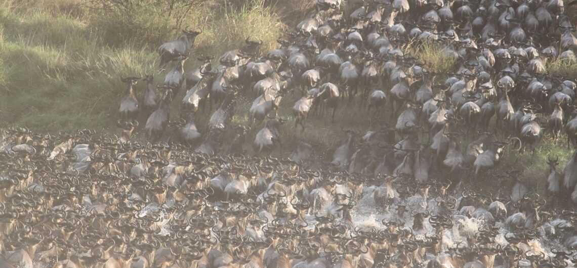 great migration 1021460 1280 1140x530 1