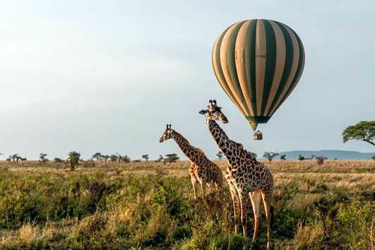 hot air balloon safari