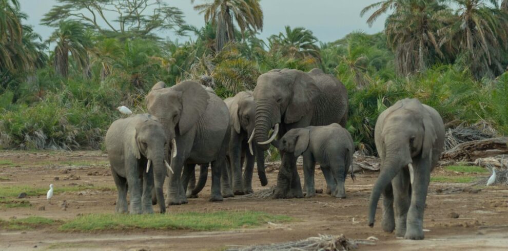 murad swaleh An6pbikQXlk unsplash 1536x1024 1