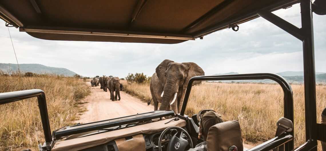 redcharlie nf7W hn6DKQ unsplash 1140x530 1