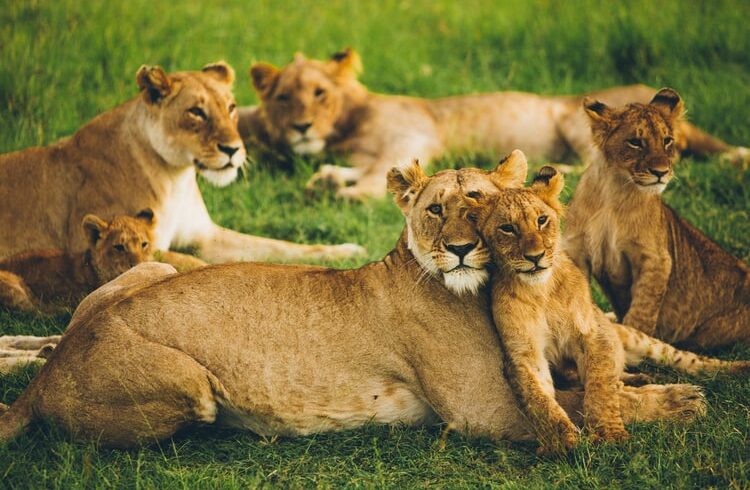 photo 1554990772 0bea55d510d5