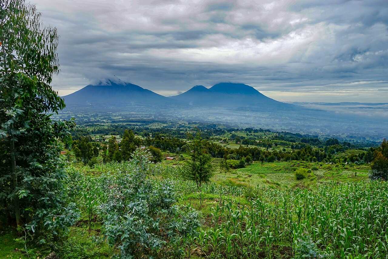 Volcanoes National Park Rwanda