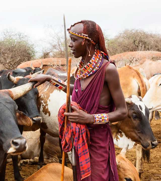 kenya maasai