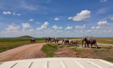 amboseli national park